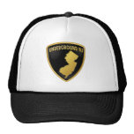 Gorra del logotipo