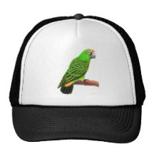 Gorra del loro de Jardines