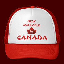 Gorra divertido del camionero del casquillo del re gorras