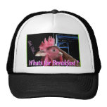 Gorra elegante del polluelo gorras