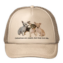 Gorra feliz del trío de la chihuahua