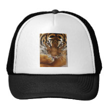 Gorra malayo del tigre #1