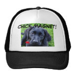 Gorra negro del labrador retriever