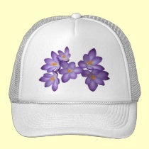 Gorra púrpura del azafrán gorras