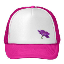 Gorra púrpura y rosado
