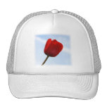 Gorra rojo del tulipán