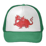 Gorra rojo lindo del camionero del dragón Galés