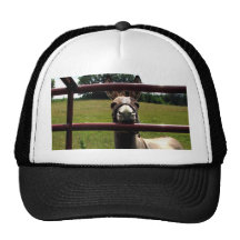 Gorra sin título