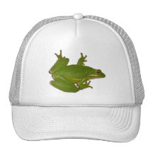 Gorra verde de Treefrog