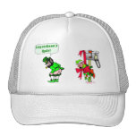 Gorras de la regla del Leprechaun