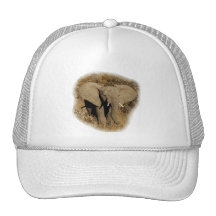 Gorras del safari del bebé del elefante y casquill