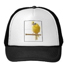 … GORRO DE CAMIONERO
