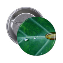 Gota de la lluvia en una hoja verde pins