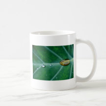 Gota de la lluvia en una hoja verde taza