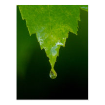 Gota de lluvia postales