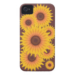 Gota de los girasoles Case-Mate iPhone 4 fundas
