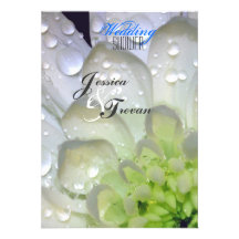 Gotas de agua blancas de la dalia que casan la inv