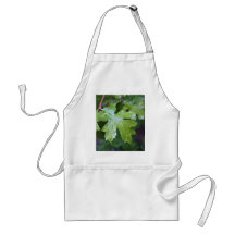 Gotas de agua de la hoja de las hojas delantales