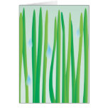 Gotas de agua en Grassblades Tarjetas