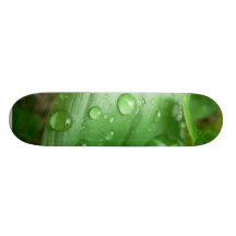 Gotas de agua en la hoja verde tablas de skate