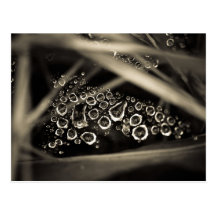 gotas de agua en tela postales