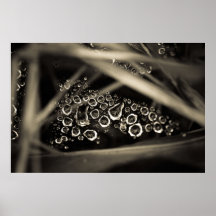 gotas de agua en tela posters