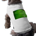 Gotas de agua que brillan intensamente en la hoja  ropa de mascota