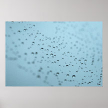 Gotas de rocío en un Spiderweb Impresiones