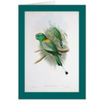 Gould - loro Estafa-Atado Tarjetas