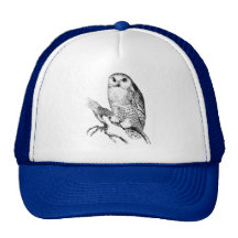 Grabado de madera del vintage del búho Nevado Gorro