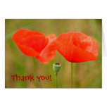 ¡Gracias! Amapolas rojas brillantes Tarjetón