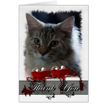 Gracias cardar con el gatito del Coon de Maine Tarjetas