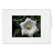 Gracias cardar - datura tarjeton