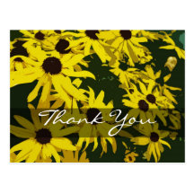 Gracias cardar, las flores amarillas de la margari tarjetas postales