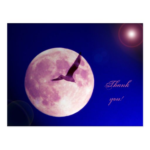 Gracias - collage con la Luna Llena y el pájaro Tarjeta Postal