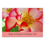¡Gracias! Flores rojas del rosa blanco de las tarj