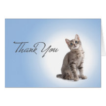 Gracias gatito en azul felicitacion 