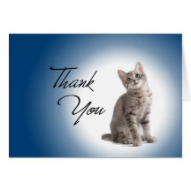 Gracias gatito en azul marino felicitaciones