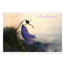 ¡Gracias! Invitaciones Personales