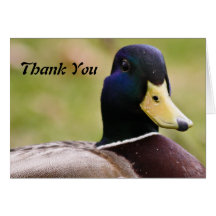 Gracias la tarjeta amarilla y azul del pato