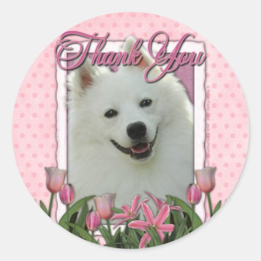 Gracias - los tulipanes rosados - esquimal america pegatinas  