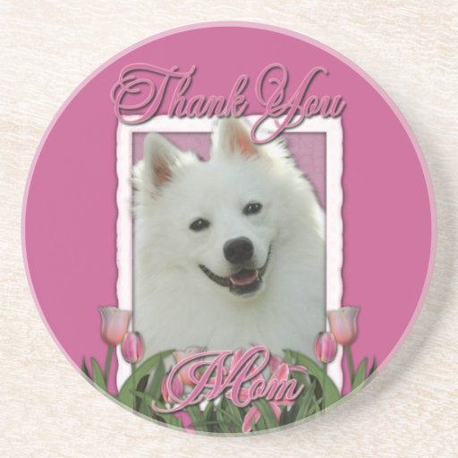 Gracias - los tulipanes rosados - esquimal america posavasos para bebidas