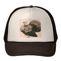 Gracias que dan Turquía Gorras De Camionero