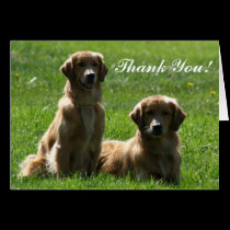 Gracias tarjeta de felicitación de los perros perd tarjetas