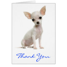 Gracias tarjeta de felicitación del perro de perri