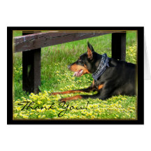 Gracias tarjeta de felicitación del Pinscher del D