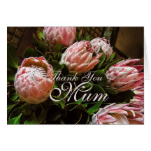 Gracias tarjeta de la flor del Protea de la momia