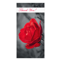Gracias tarjeta de la foto tarjetas fotograficas 