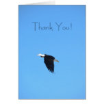 ¡Gracias! Tarjeta de la plantilla de Eagle calvo