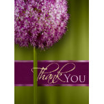 Thank You Cards